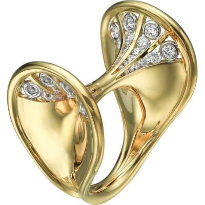Ring image 1