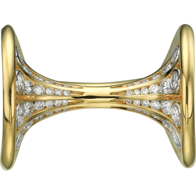 Ring image 2