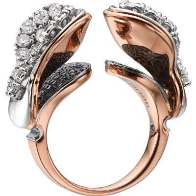 Love Waves image 3